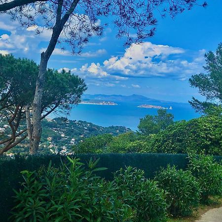 Charming & Peaceful Apartment Begur With Swimming Pool Ngoại thất bức ảnh